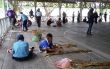 Dua siswa ini sementara merangkai layang-layang yang terbuat dari daun Kolope (daun ubi hutan) di lomba membuat layang-layang tingkat SD dan SMP. FOTO : LA ODE AWALUDDIN