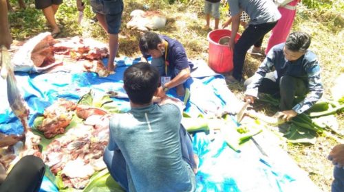 Mempererat Silaturahmi Kahmi dan Forhati HMI Cabang Kendari Gelar Qurban