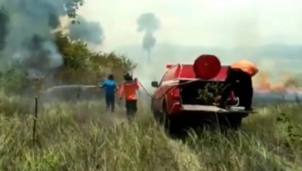 Puluhan Ribu Hektar Lahan Konservasi Terbakar