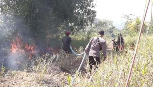 Polisi Amankan Dua Terduga Pelaku Pembakaran Hutan di Kolut