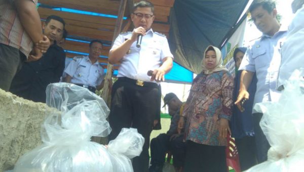 Program Seribu Kolam, Wabup Konawe Bagi Bibit Ikan ke Kemasyarakat