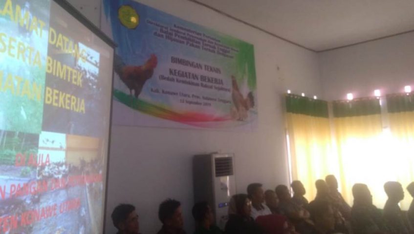 934 Warga Konut Dapat Bantuan Bibit Ayam dari Kementan