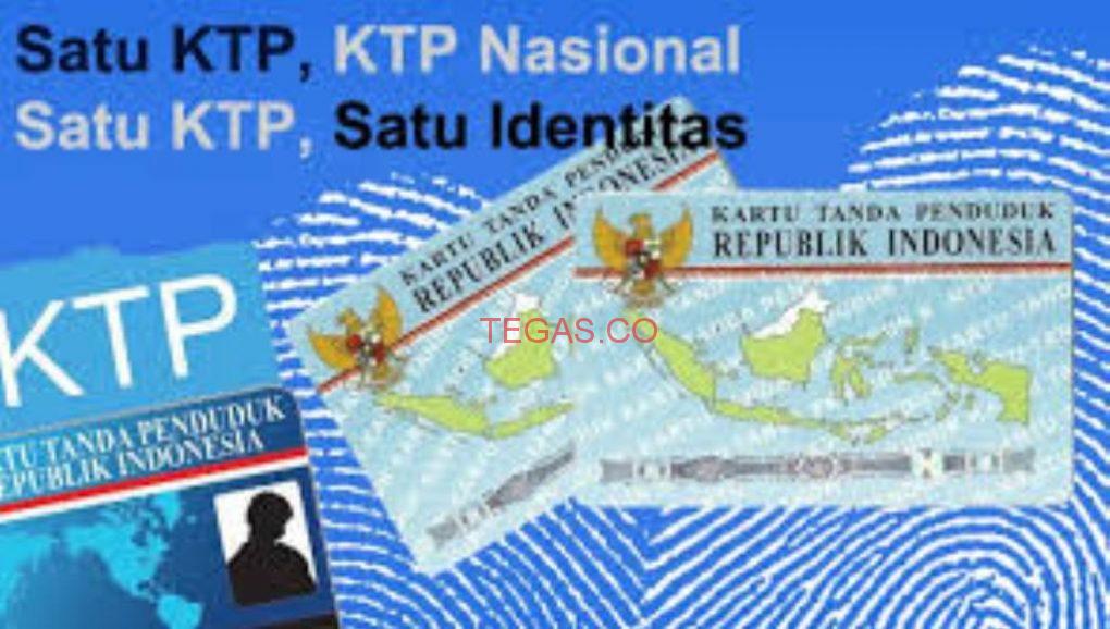 WNA Miliki KTP Lampung, Mappilu-PWI Minta Lacak dan Hapus dari DPT