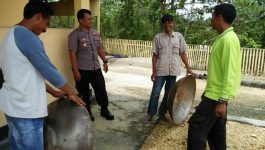 Lagi,&nbsp; Polsek Bonegunu Salurkan Bantuan Pembuatan Gula Merah