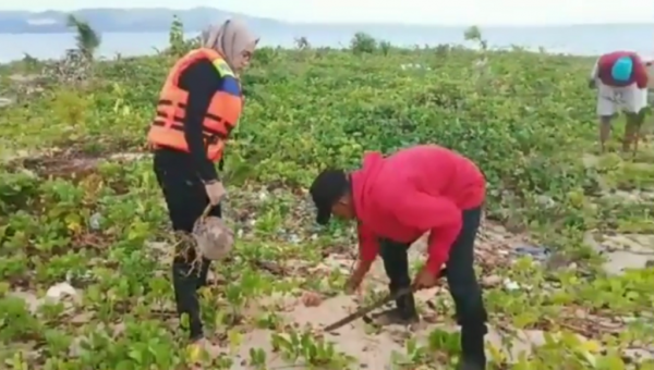 Mari Tebari Hijaukan Pulau Pelangi Kolaka