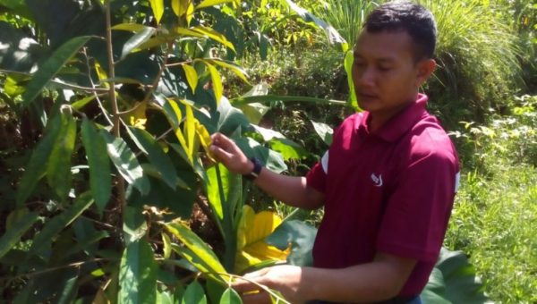 Sisi Lain Kopral Satu Edi Sulton : Hobby Berkebun Dan Berburu Durian