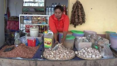 harga Bawang Putih mulai merangkak naik jelang bulan Ramadhan. FOTO ; LAN