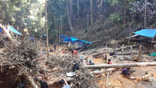 Penambangan emas secara tradisional leh masyarakat dengan cara mendulang dalam waktu yang dekat akan ditertibkan oleh Pemerintah . FOTO : LAN