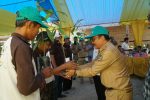 Direktur EQSI Project Rochmat Djatmiko Saat Menyerahkan Bibit Kakao Sambung Pucuk Kepada Perwakilan Petani. FOTO : MAHIDIN