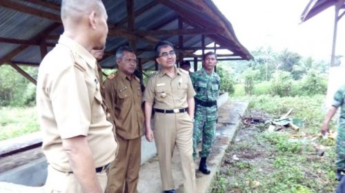 Pemda Butur Persiapkan Kunjungan Mentan RI Tinjau Pertanian Padi Organik