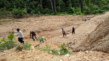 Jauh dari Jangkauan, Petani Harapkan Pembukaan Jalan Tani