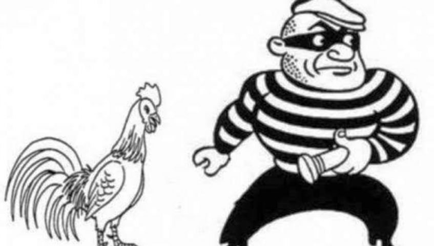 Maling Ayam Resahkan Warga di Lorong Bupati Muna