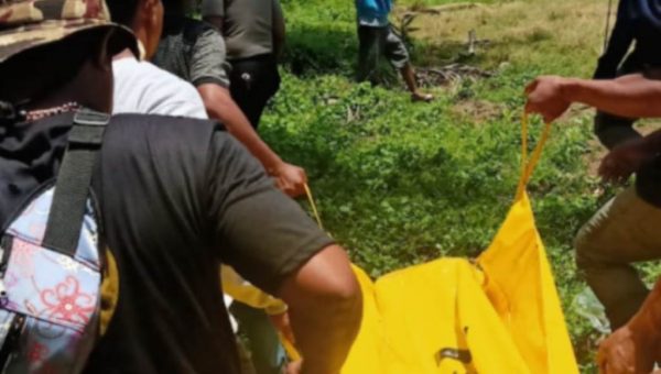 Warga Palopo Tewas Tersengat Listrik Jerat Babi di Kolut