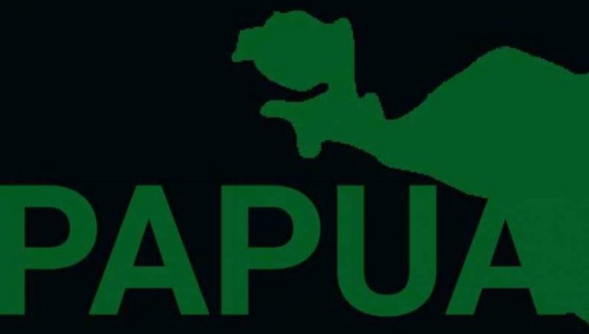 Provokator Sesungguhnya di Balik Kerusuhan Papua