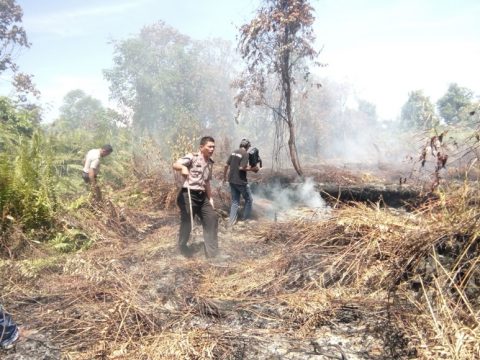 Pemadaman Api di lahan gambut yang melibatkan anggota Polisi dan masyarakat setempat. FOTO : MAN