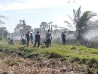 Minim fasilitas BPBD Aceh Singkil Kesulitan melakukan pemadaman di lahan kering yang mengalami kebakaran. FOTO : MAN