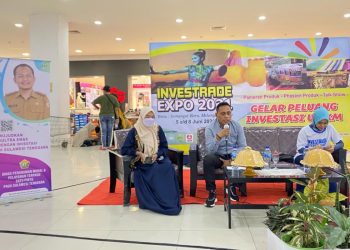 DPMPTSP Sultra