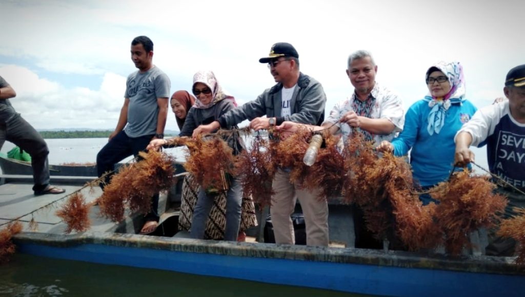 Hadiri Panen Raya Rumput Laut, Bupati Butur : Jadilah Masyarakat yang Bekerja