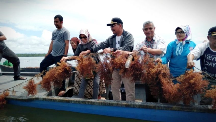 ﻿Hadiri Panen Raya Rumput Laut, Bupati Butur : Jadilah Masyarakat yang Bekerja