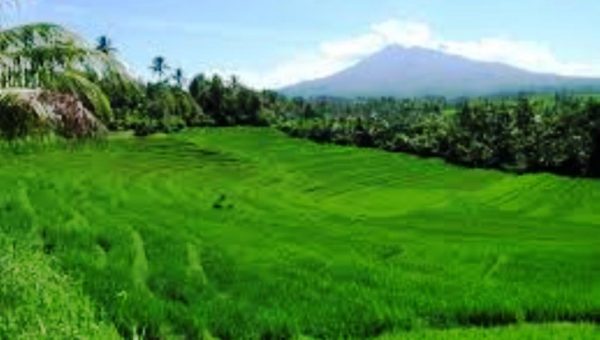 Asing di Balik Liberalisasi Pariwisata