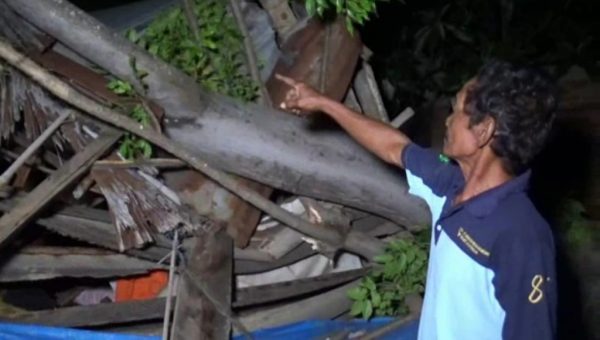 Pohon Tumbang Hancurkan Rumah Warga di Kolaka