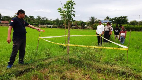 Tersengat Strom, Pria Asal Konsel Ditemukan Tewas di Pematang Sawah