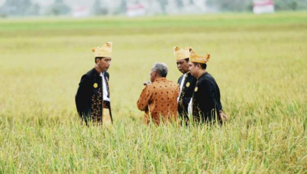 18 Keberhasilan Pemerintahan Presiden Jokowi, Ini yang di Muna﻿