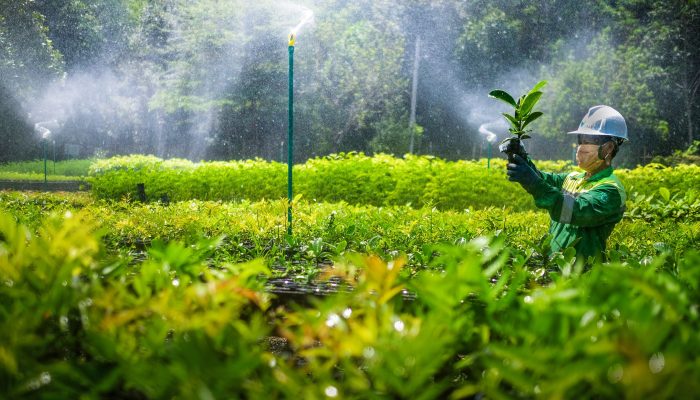 Konsisten Jaga Lingkungan, Pj Gubernur Sulsel Ajak Masyarakat Dukung PT Vale