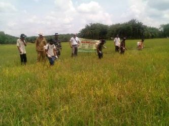 TNI Dampingi BPTPH Sosialisasikan Pemberantasan Hama Kepada Petani