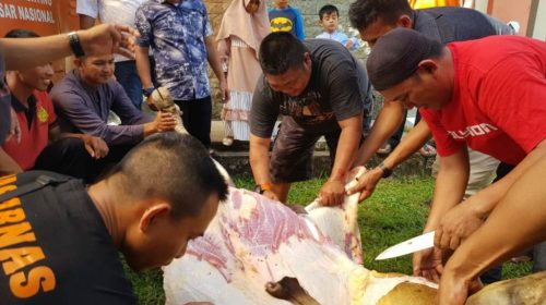 SAR Kendari Salurkan Daging Kurban, Pemulung, Abang Becak Kebagian