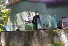 Satwa Liar yang dilindungi yang berhasil diamankan dari pemburu satwa. FOTO : NADHIR ATTAMIMI