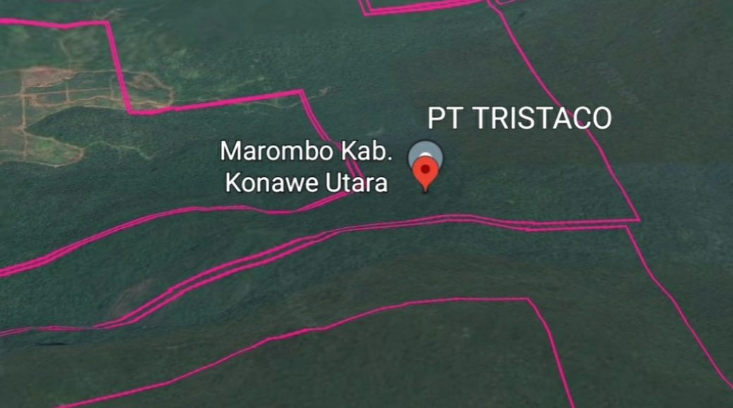 PT Tristaco Marombo Konut Diduga Pakai IUP DAS tanpa IPPKH