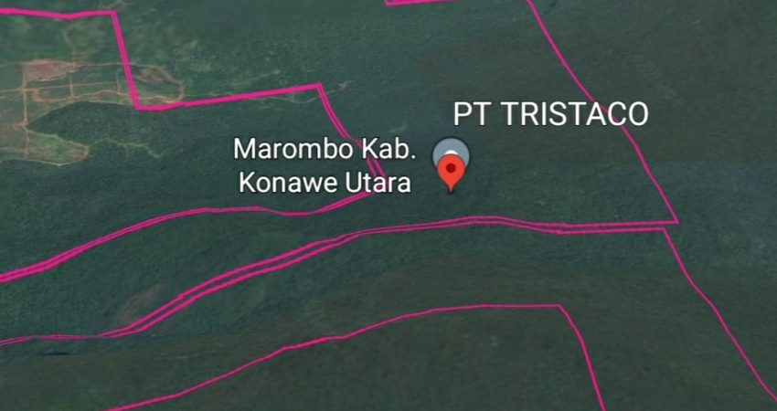 PT Tristaco Marombo Konut Diduga Pakai IUP DAS tanpa IPPKH