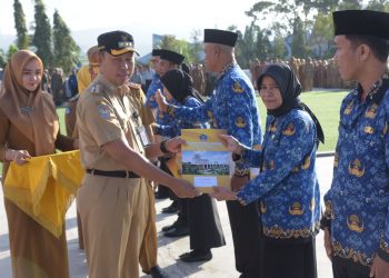 Pj Wali Kota