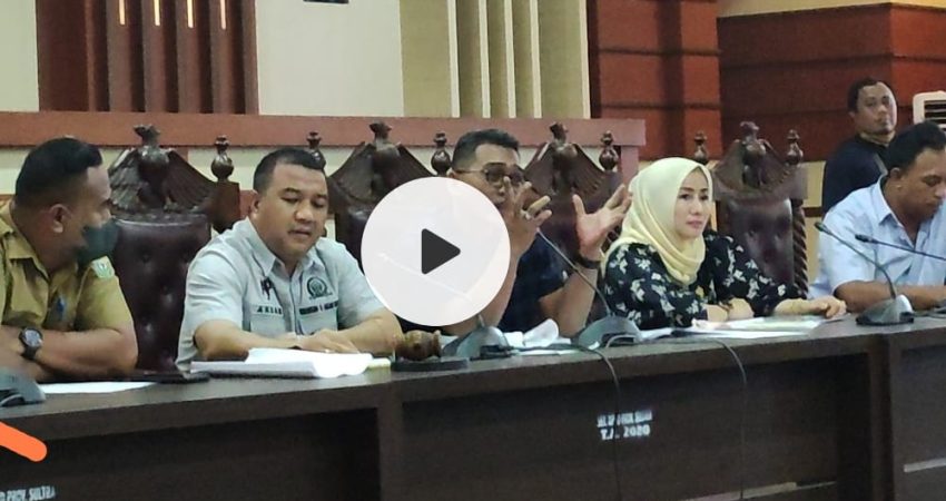 Video &ndash; Tanggapi Aspirasi, DPRD Sultra: Dokumen PT GKP di Wawonii Lengkap