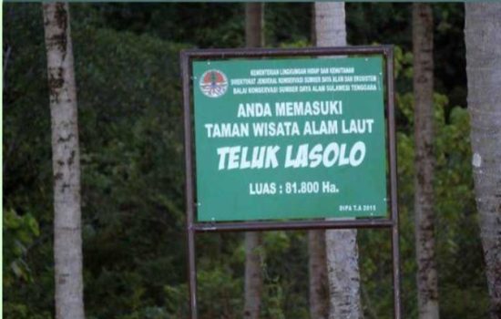 29 Tongkang Nikel Milik Perusahaan Tambang Lintasi TWAL Teluk Lasolo, Berikut Daftarnya