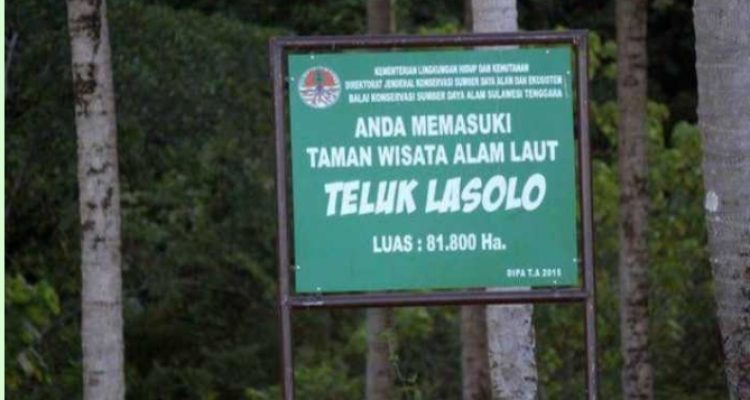 BKSDA Sultra: Belasan Kapal Tongkang Lintasi Kawasan Konservasi TWAL Teluk Lasolo Tak Termasuk PT SJSU