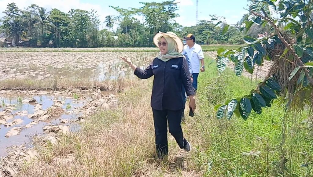 DPRD Sultra Serap Aspirasi Petani Konawe, Nurponirah Janji Bahas Perbaikan Irigasi