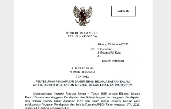 Efisiensi APBD 2025: Jalan Berliku Menuju Kinerja Optimal