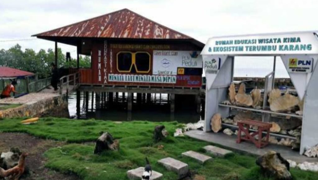 Aktivitas Penambangan Ancam Ekosistem Laut Konawe, Penggiat Lingkungan Desak Bupati Berpikir Ulang