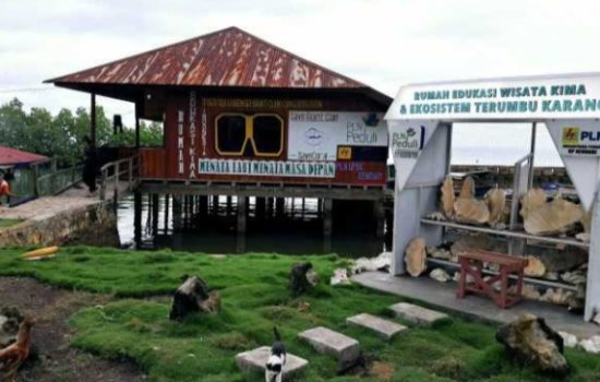 Aktivitas Penambangan Ancam Ekosistem Laut Konawe, Penggiat Lingkungan Desak Bupati Berpikir Ulang