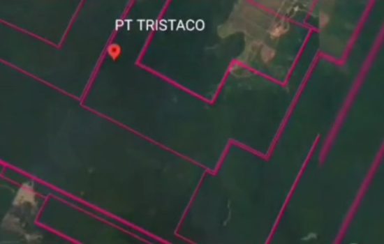 Polri Ambil Tindakan Tegas Terhadap Tambang Ilegal di Sultra, DPRD Beri Dukungan