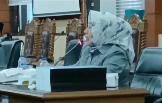 Rosni, Jejak Karier Politik dari DPRD Baubau ke DPRD Sultra