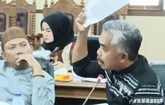 Anggota Banggar DPRD Sultra Soroti Pentingnya Ekstensifikasi dan Intensifikasi Pendapatan Daerah