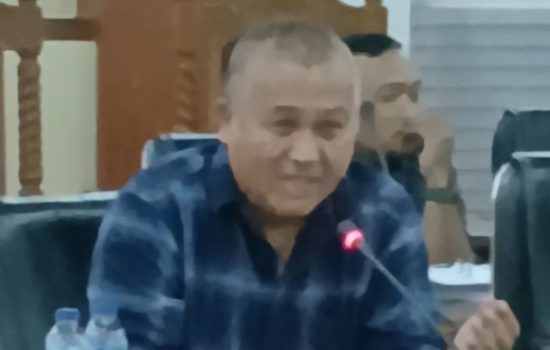 Anggota Banggar Sultra Dr. Ardin Ingatkan TAPD Tidak Menunda Pengajuan Dokumen APBD 2026