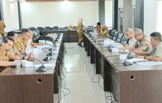 Komisi II DPRD Sultra Soroti Realisasi PAD 2025, Minta OPD Genjot Pendapatan Daerah