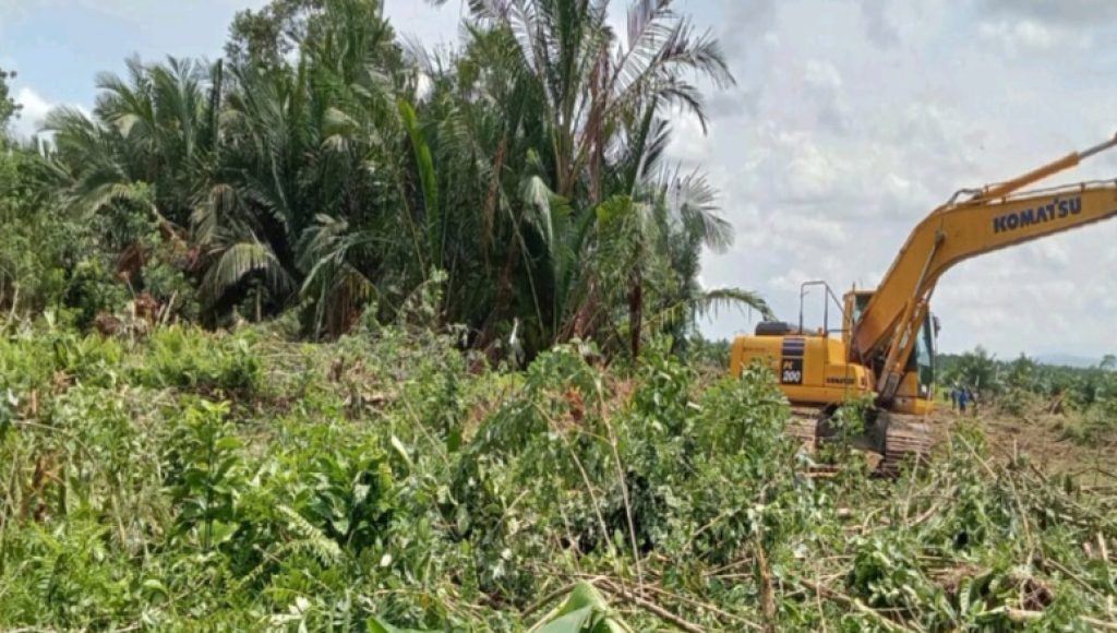 PT. Marketindo, Wajah Lama Perampasan Tanah Berkedok Investasi