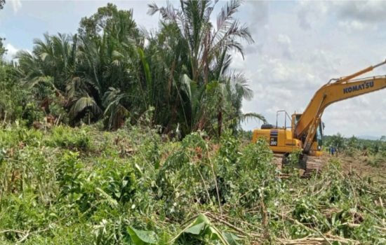 PT. Marketindo, Wajah Lama Perampasan Tanah Berkedok Investasi