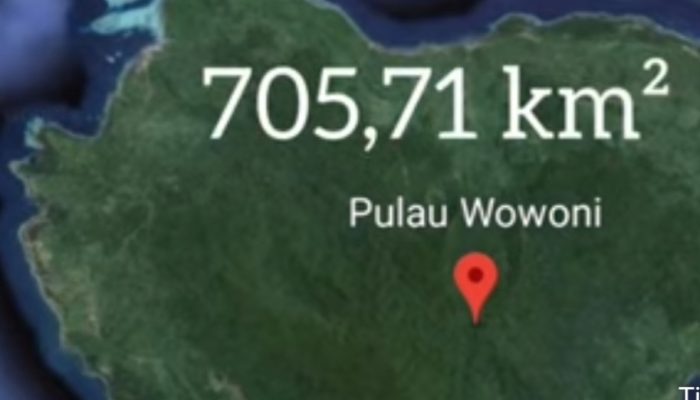 4 IUP Nikel ada Afiliasi Rusia dan 1 Tambang Batuan di Pulau Wawonii Konkep