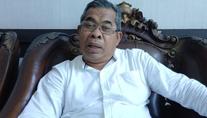 Paus Sperma 8 Meter Terdampar di Perairan Kolaka, Diduga Mati Akibat Limbah Tambang